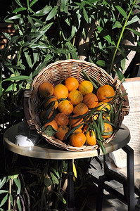 橘子希腊的篮上橙柑橘有机图片