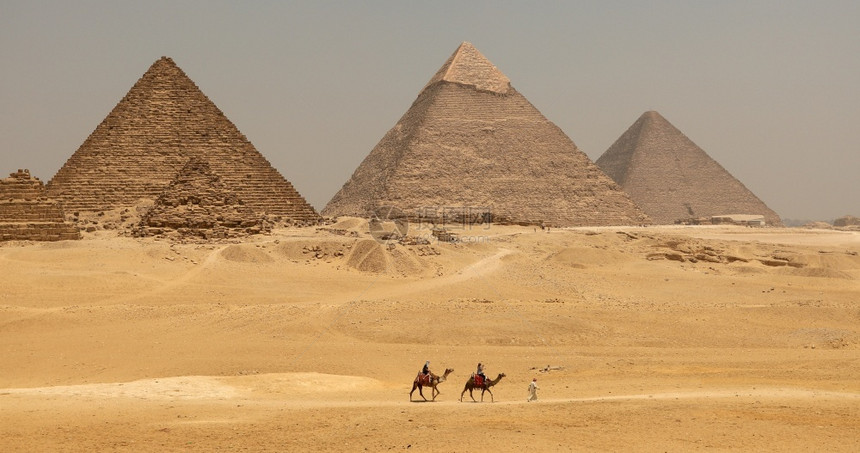 美丽的埃及吉萨带骆驼的大金字塔历史著名的图片