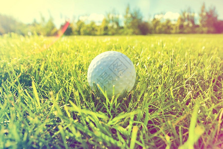 包开球浓度青草中高尔夫游戏球图片