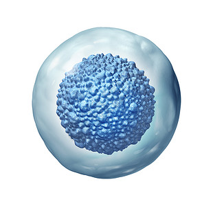 皮薄汁多瓜拉纳皮生物技术Stem细胞生物学作为一种多细胞胚胎概念或成年有机体作为3D插图的细胞治疗象征物a细胞生物学作为一种多细胞胚胎概设计图片