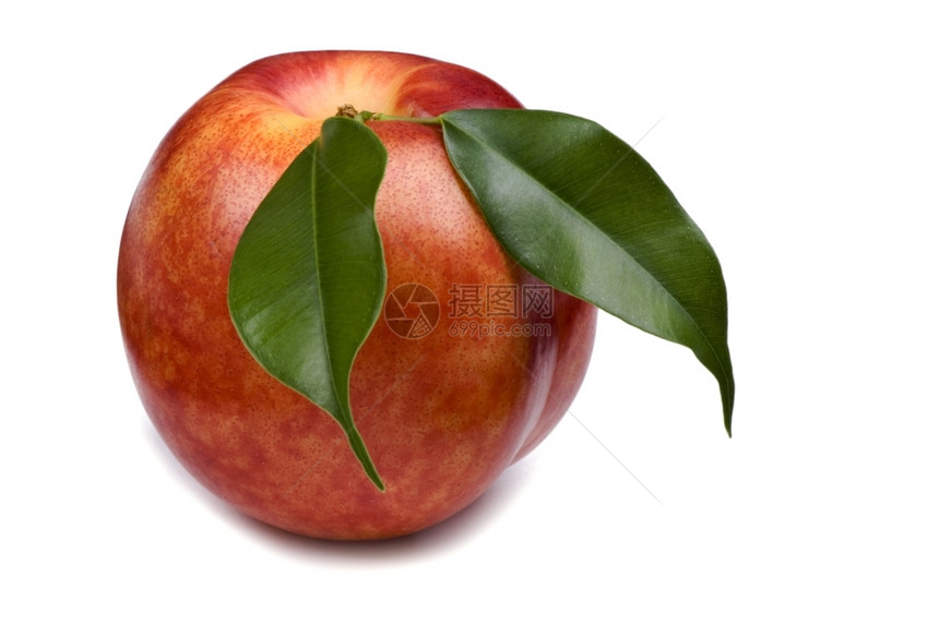 水果qxwhiteqx背景白色食物桃子关闭多汁的成熟图片