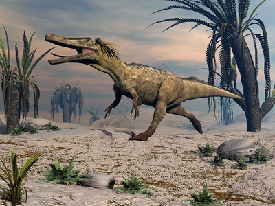 食腐动物日落前在沙漠中行走的食虫恐龙通过日落3D使食虫恐龙步行3D数字的经过咆哮设计图片