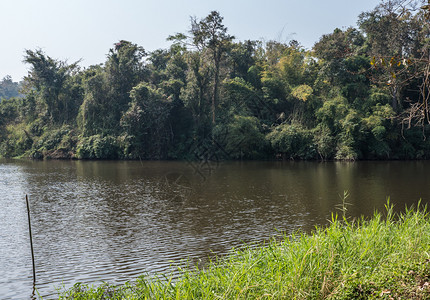国民家公园林边附近的小宁静水池公园河自然图片