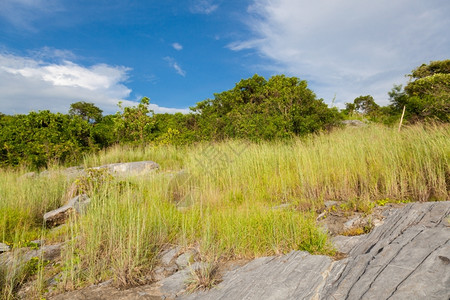 山丘海瑟的草地他位于山坡上的岩石希瑟蓝色的远足图片