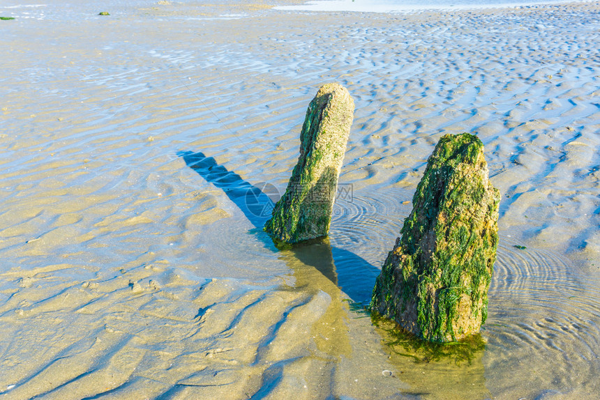 湖全景两块大岩石覆盖在海藻中滨洋景观结石图片