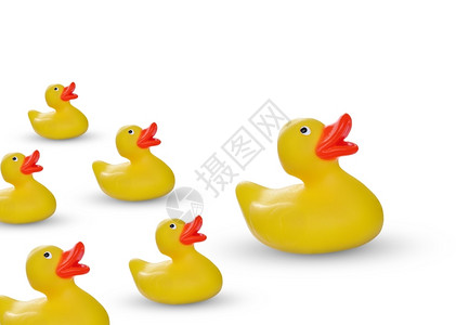 小鸭子游泳喙幼儿园延长白上孤立的黄色橡皮鸭和子设计图片