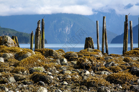 插头在不列颠哥伦比亚省fjord的石海岸上冷清越位背景图片