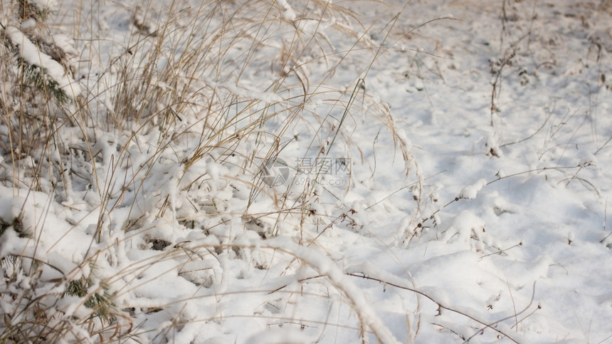 耀斑荣降雪冬季风景天晨光下雪图片