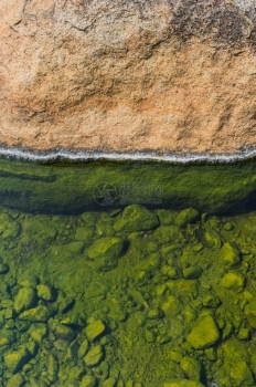 岩石春天水温泉池上的绿色特写图片
