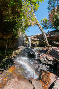 步美丽的森林泰国PhuKradueng公园瀑布的景观图片
