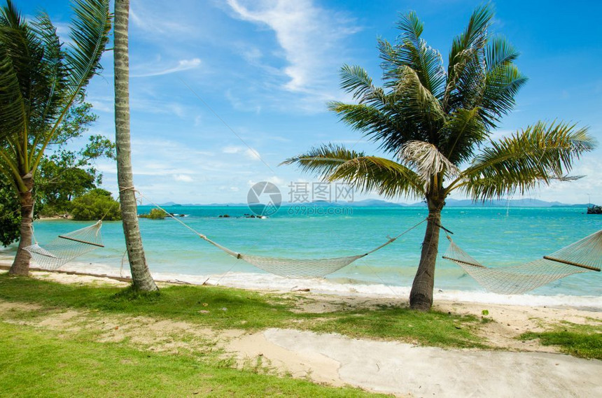 椰子树和海边的吊床在沙滩上图片