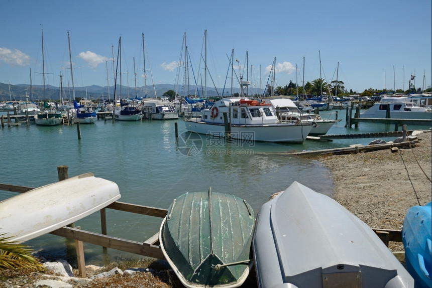 海上树户外在新西兰莫图埃卡游艇俱乐部停泊在地上的帆船休息图片