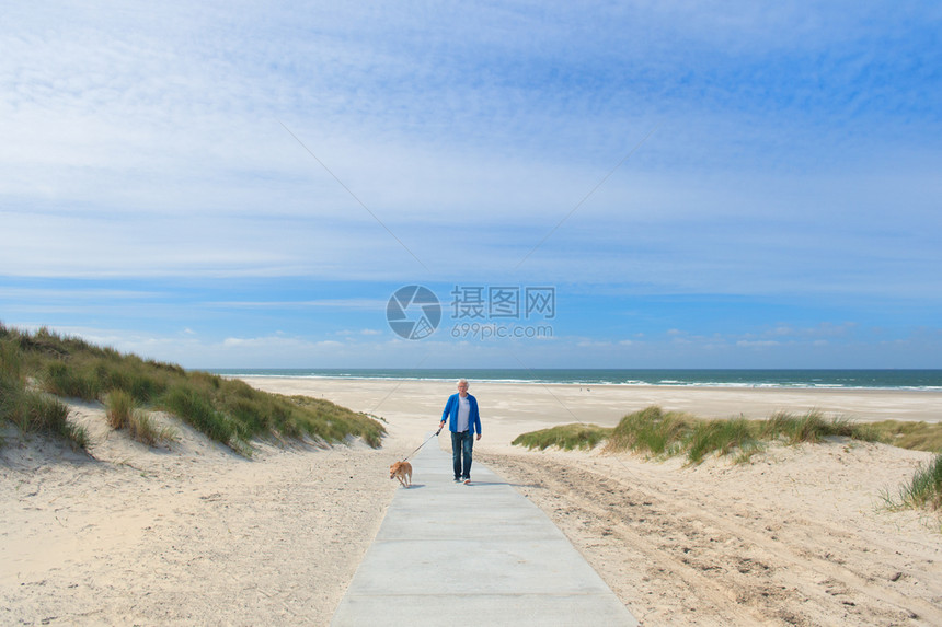 男人在荷兰岛Terschelling海滩上走狗水宠物维林克图片