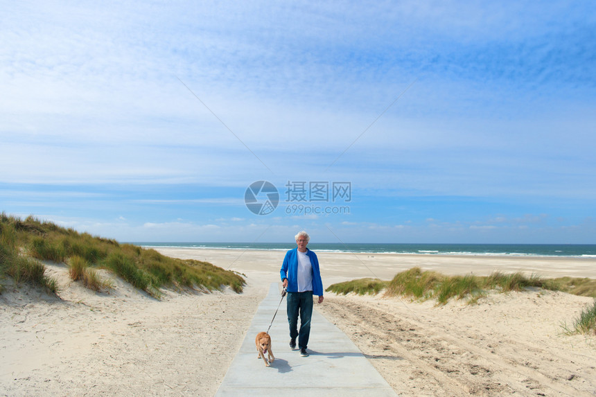 老年男人在荷兰岛Terschelling海滩上走狗沙丘高级的图片