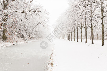 天空蓝色的森林穿越雪水道图片