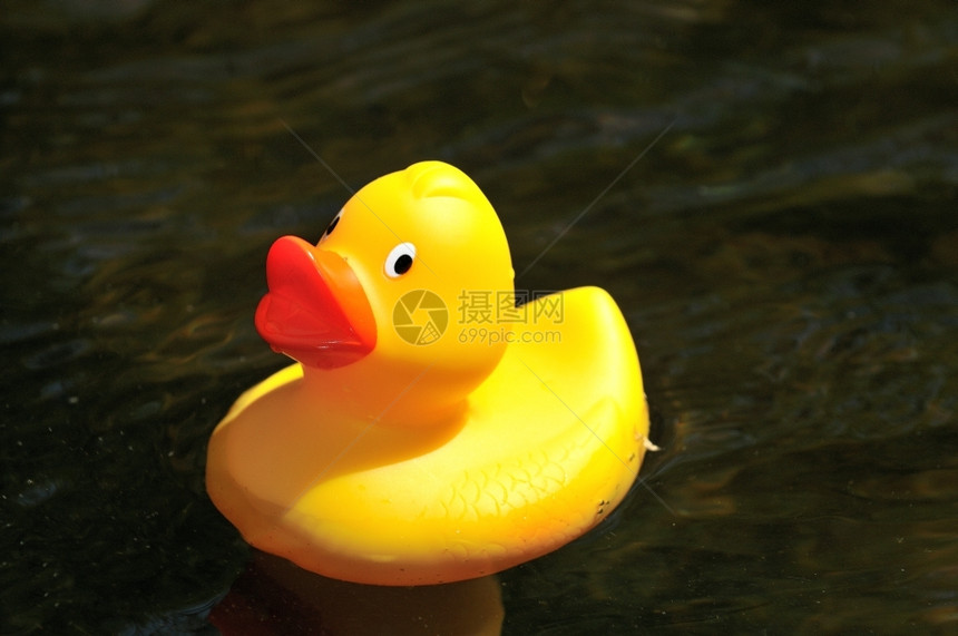 颜色玩小鸭被水底隔离的橡皮鸭图片