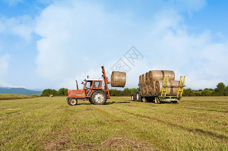 拖拉机在野外收集干草篮子和装上农车包云稻草图片