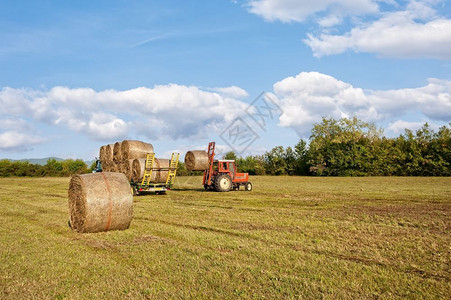 农场收成拖拉机在野外收集干草篮子和装上农车行业图片