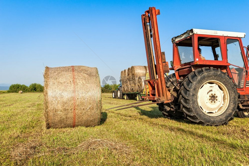 农村业拖拉机在野外收集干草篮子和装上农车景观图片