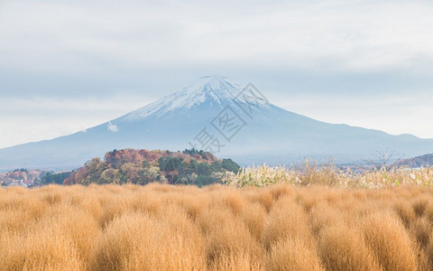 日本富士山图片