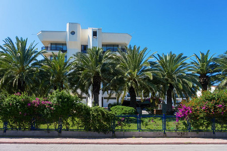天旅馆背后的几棕榈树镇白天图片