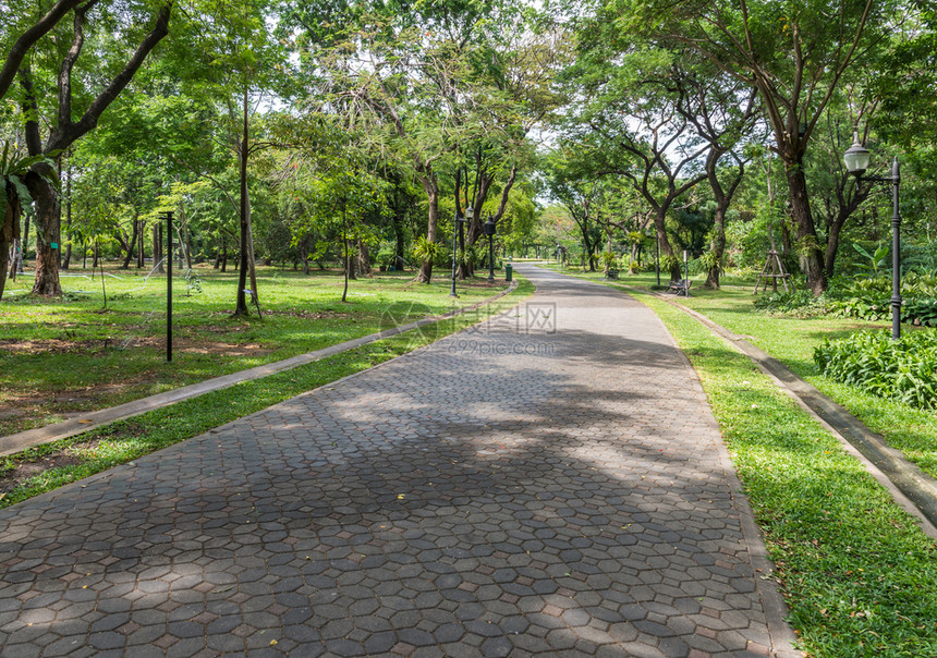 光是清洁砖道城市公园的大树摊铺机院子风景图片