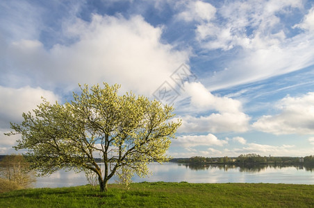 天美丽的在阳光明媚春日在里加DaugavaPromonedade从Daugarva河到Daugava河的景象衬套背景图片