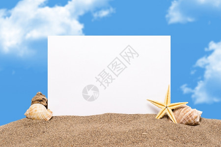 沙滩上的空白纸卡和贝壳片图片