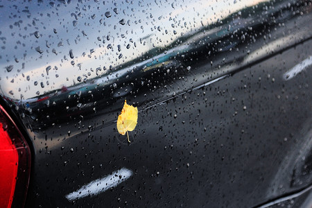 初秋下雨后黑车上的滴和黄叶子落下悲伤自然图片
