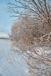 冷冻仙境冬季美丽的圣诞风景冰冻和雪湖的海岸天空图片