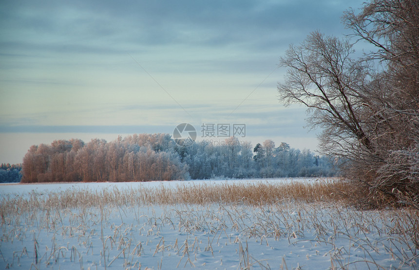 寒冷的冻日落冬季美丽的圣诞风景冰冻和雪湖的海岸图片