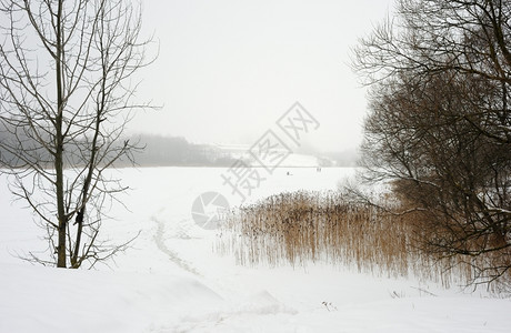 衬套雪花冬季积河岸冰水和树木天图片