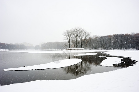 清除黑色的植物冬季积雪河岸冰水和树木图片