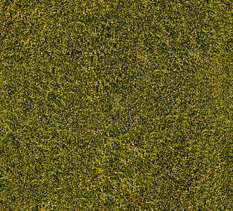 工具关心园林绿化足球场的色草质素图片