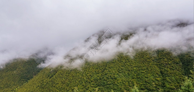 自然绿色一种山坡在云中躺着青绿的阴锥被迷雾笼罩在景色风中图片