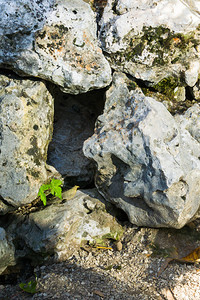 一些大岩石之间的空洞动物藏身处屋户外野生动物图片