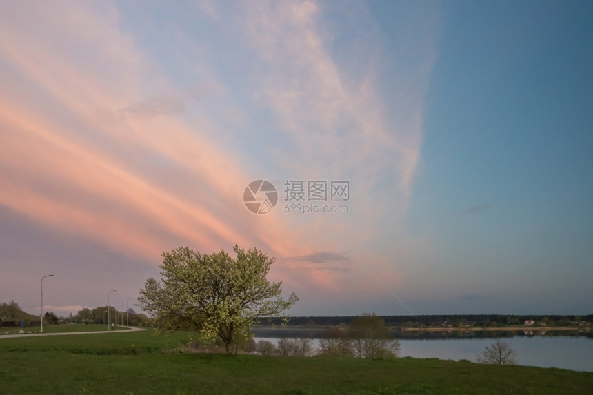 前景青蓝天空中的粉色云在大瓜瓦河上日落露红樱花树前方有白水冷静的图片