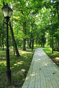 人行道灯笼王冠美丽的公园有很多绿树和道路美丽的城市公园有道路绿树和小图片