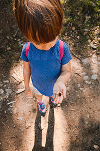正面树年轻的金发小女孩手上拿着橡子的小桃用背包在森林的路上图片