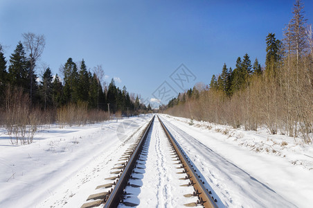 雪直铁路穿过冬季森林阳光明媚的日落俄罗斯弗拉基米尔地区晴天冬图片