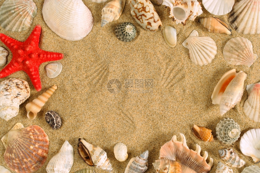 一连串的贝壳散落在沙地周围以形成一个框架萨姆纳斯天堂海洋图片