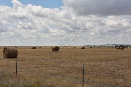 黑麦牧场稻草农村地区庄和灌干草丛图片
