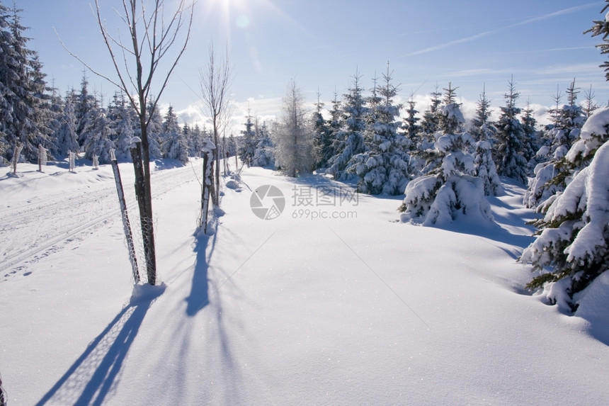 雪后美景图片