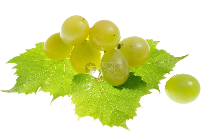 营养绿色浆果白上孤立的葡萄图片
