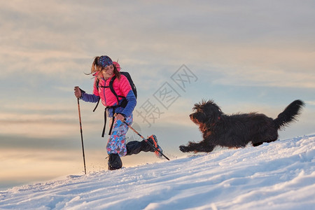 宠物年轻的女孩在雪中与她的大爱狗散步行图片