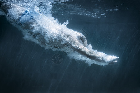 黑色游泳池中潜水员的图像活动秃白种人图片
