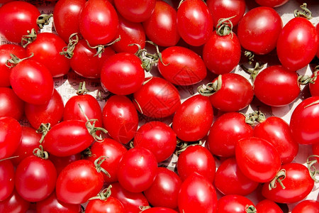 喝红色的番茄自然图片