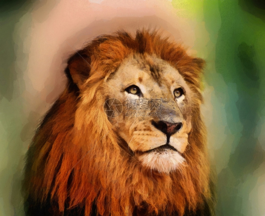 国王牙齿皇家狮子和长脸巨人肖像绘画锋利的图片