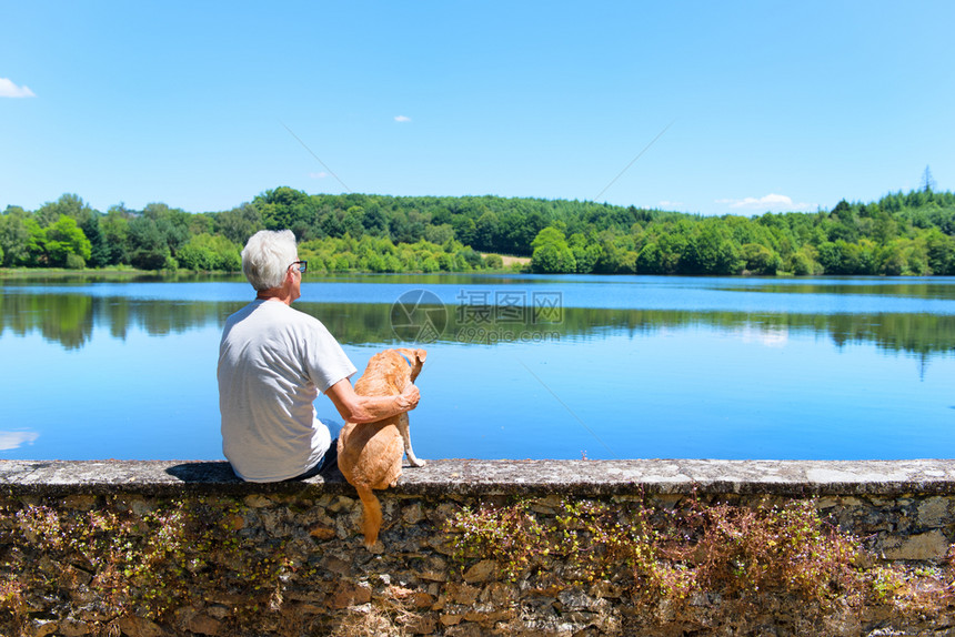 某人波登科在法国湖边的墙上坐着长辈和有交叉种养狗的老男人朋友们图片