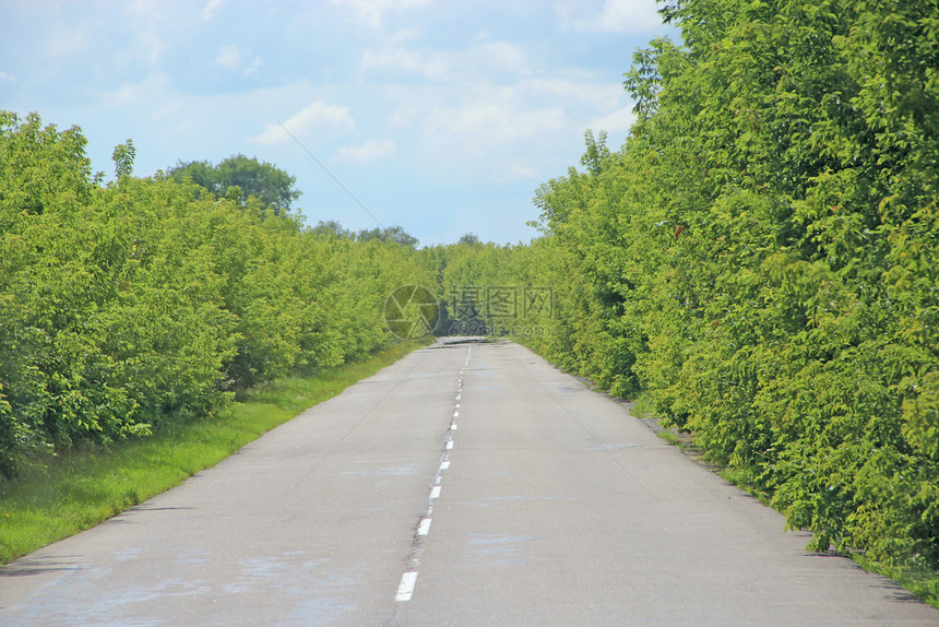 杂草丛生的公路两侧植被茂密的公路空旷柏油和绿色旁的自然夏季景观空旷的公路柏油和绿色旁的景观空旷公路柏油速度稠密空的图片